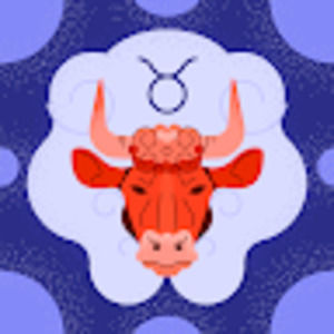 Meet your Posher, Amo